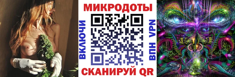 наркошоп  это клад  Галлюциногенные грибы Psilocybe  Красный Кут 